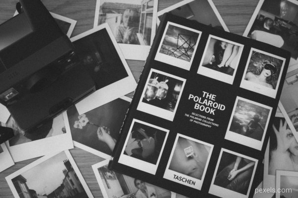 the-polaroid-book-2780553-1-
