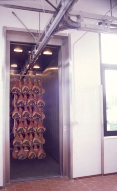 MONTACARICHI-2