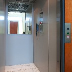 Cocci3 INTERNO