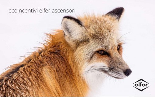 flyer incentivi ascensori elfer