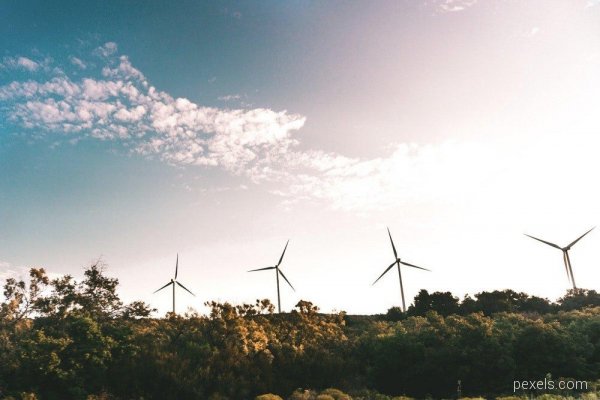 windmill-near-green-trees-691458