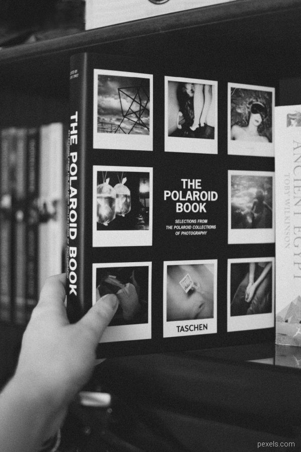 the-polaroid-book-2090104