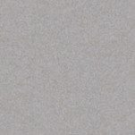 Vernice Ral 9006